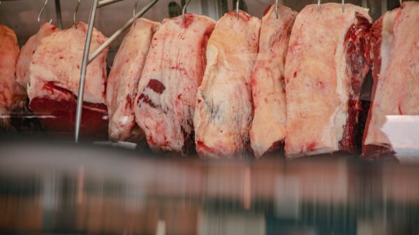 carne