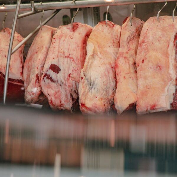 carne