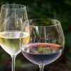 Tipos de taças para vinhos