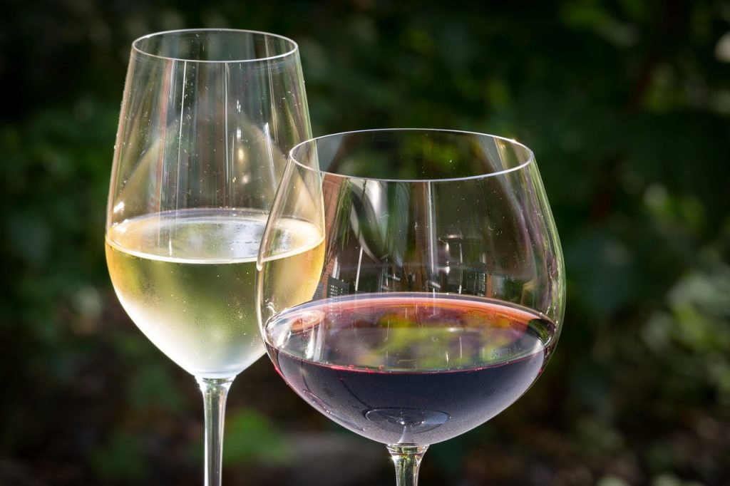 Tipos de taças para vinhos
