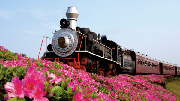 Viagem de trem no Brasil