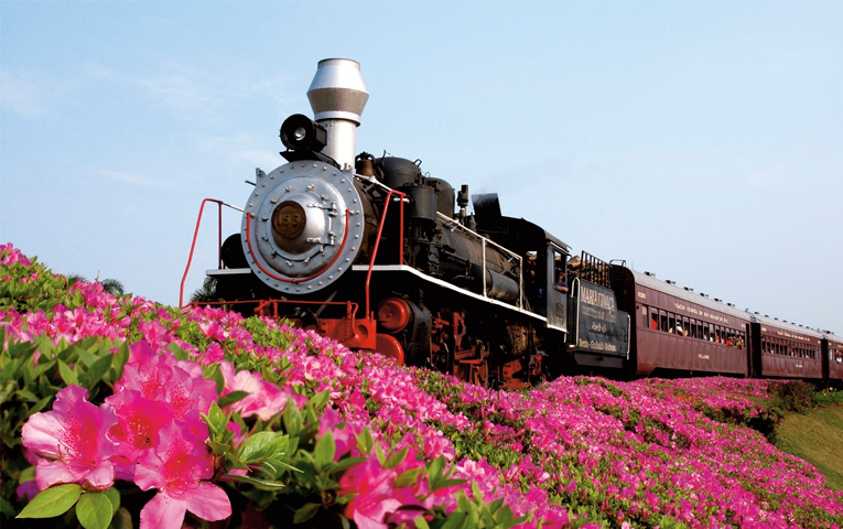 Viagem de trem no Brasil