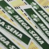 cartelas de aposta da Mega-Sena