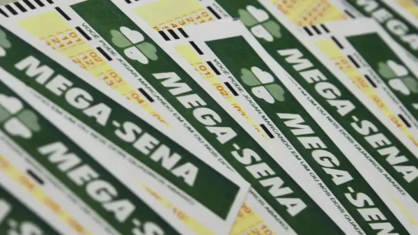 cartelas de aposta da Mega-Sena