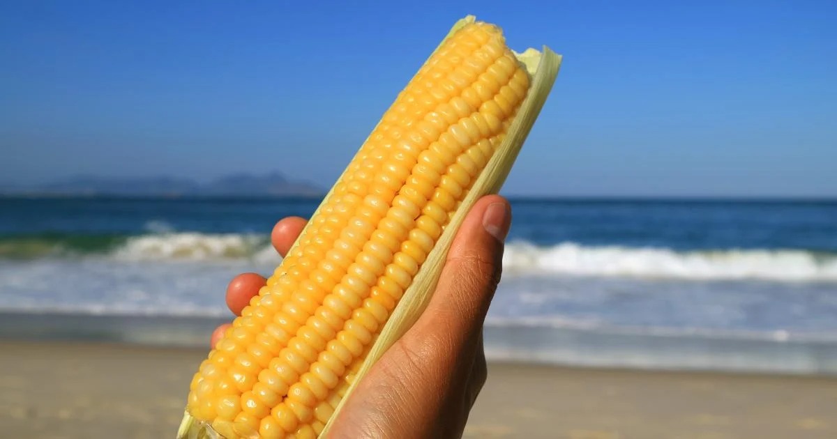 Rio de Janeiro