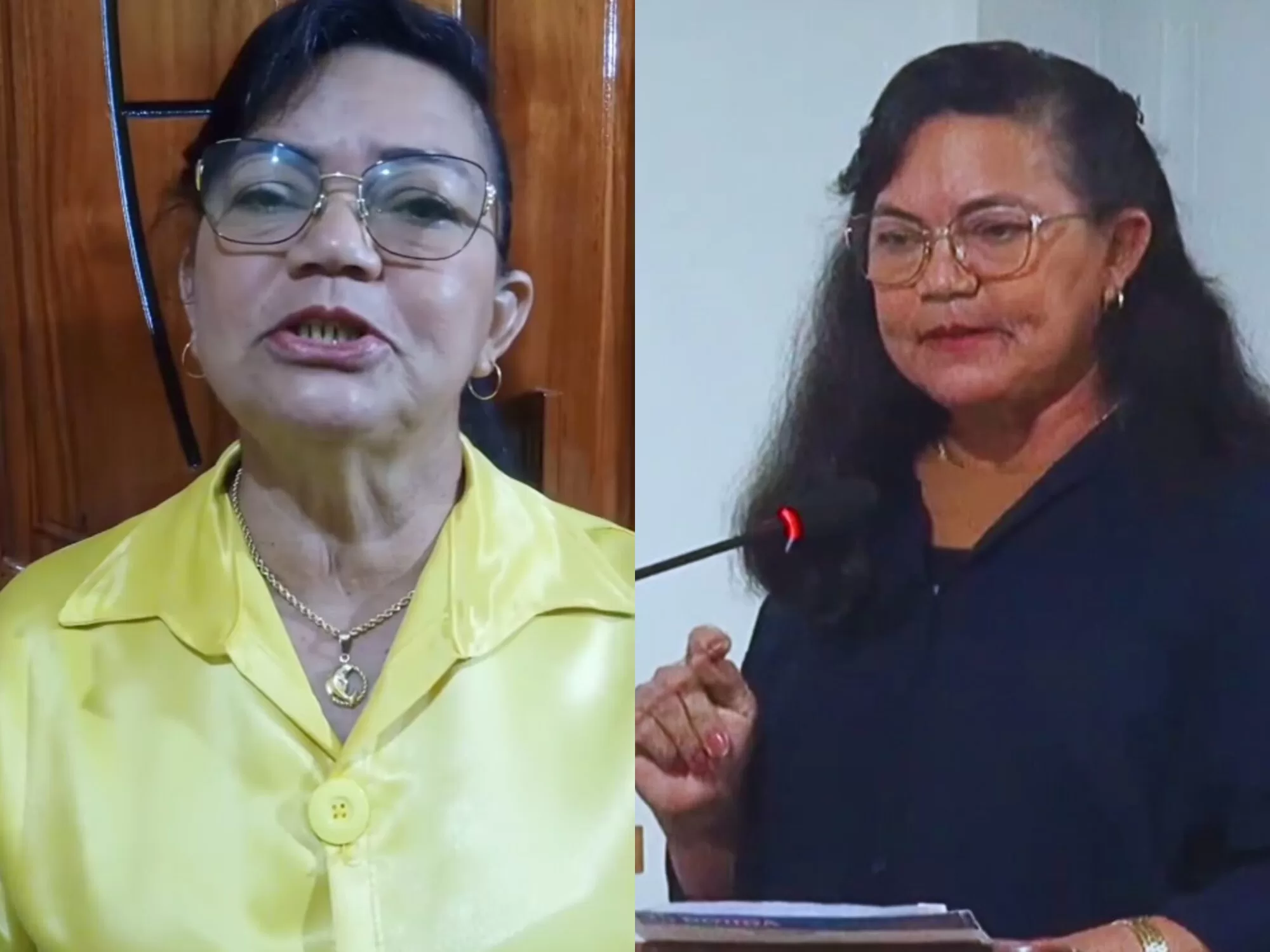 Vereadora Betinha pede desculpas após fala polêmica na Câmara de Borba